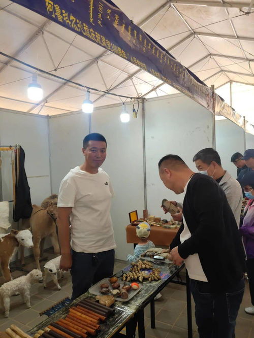 阿鲁科尔沁旗举办“人民的非遗 人民共享”百年百艺非遗文旅文创产品展示活动